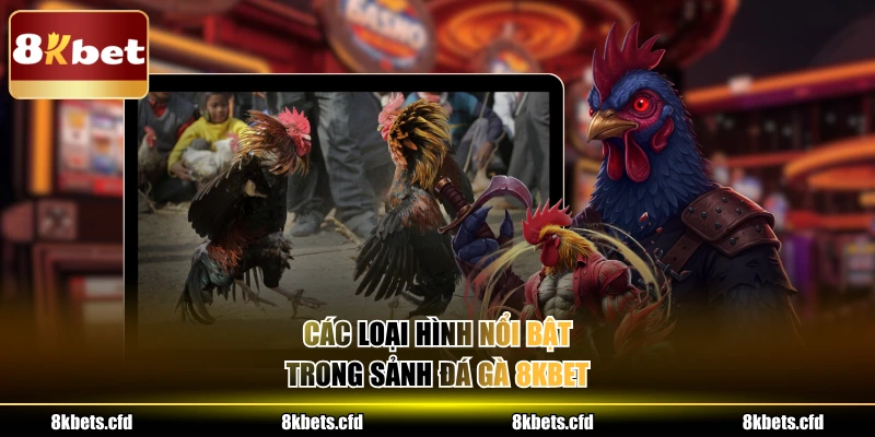 Các loại hình nổi bật trong sảnh đá gà 8kbet