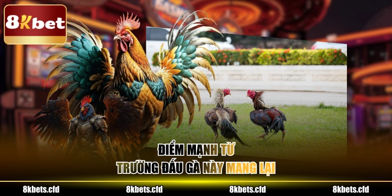 Điểm mạnh từ trường đấu gà này mang lại 