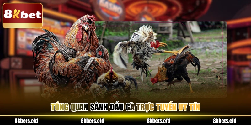 Tổng quan sảnh đấu gà trực tuyến uy tín